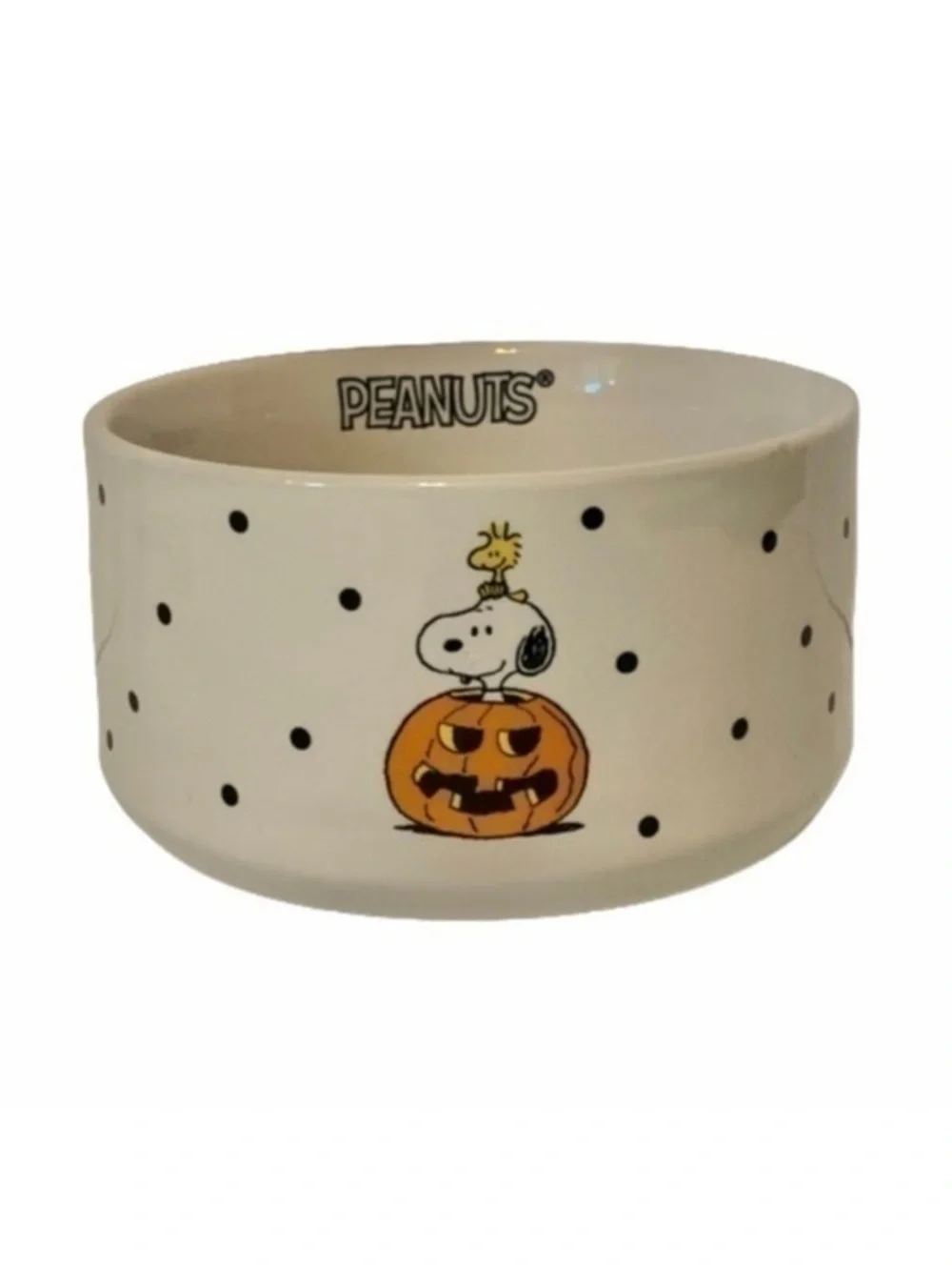 NWT. RAE DUNN X PEANUTS Snoopy Spooktacular Candy Bowl/Pet